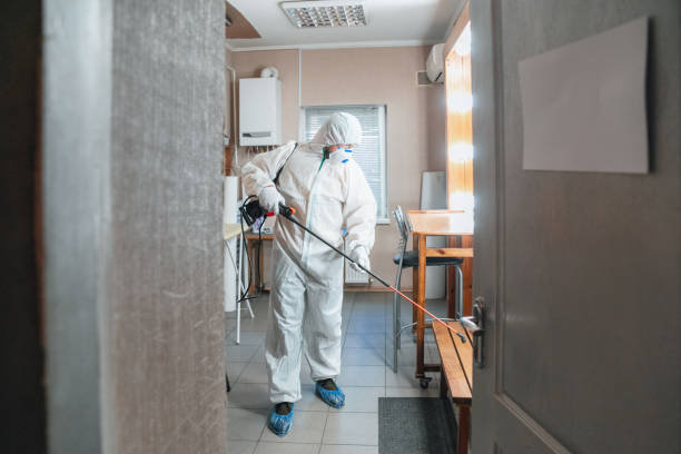 Best Emergency Mold Remediation  in Lomita, CA