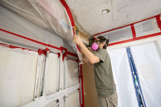 Best Mold Documentation for Insurance Claims  in Lomita, CA