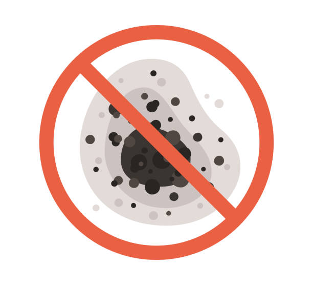 Environmental Consulting for Mold Prevention in Lomita, CA