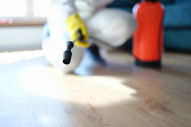 Best Mold Remediation for Healthcare Facilities  in Lomita, CA