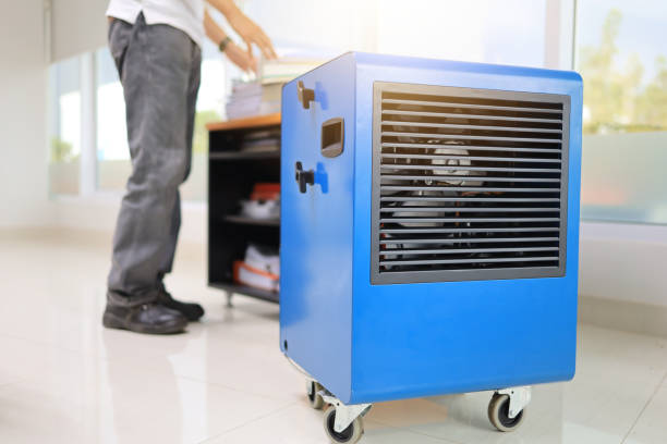 Best Commercial Mold Inspection  in Lomita, CA