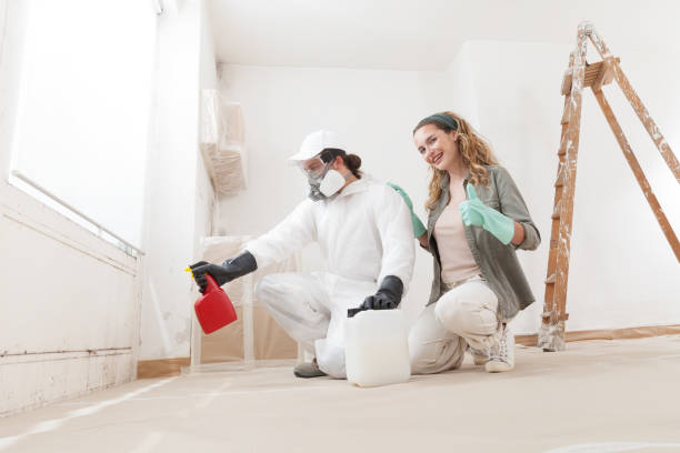 Best Forensic Mold Investigation  in Lomita, CA